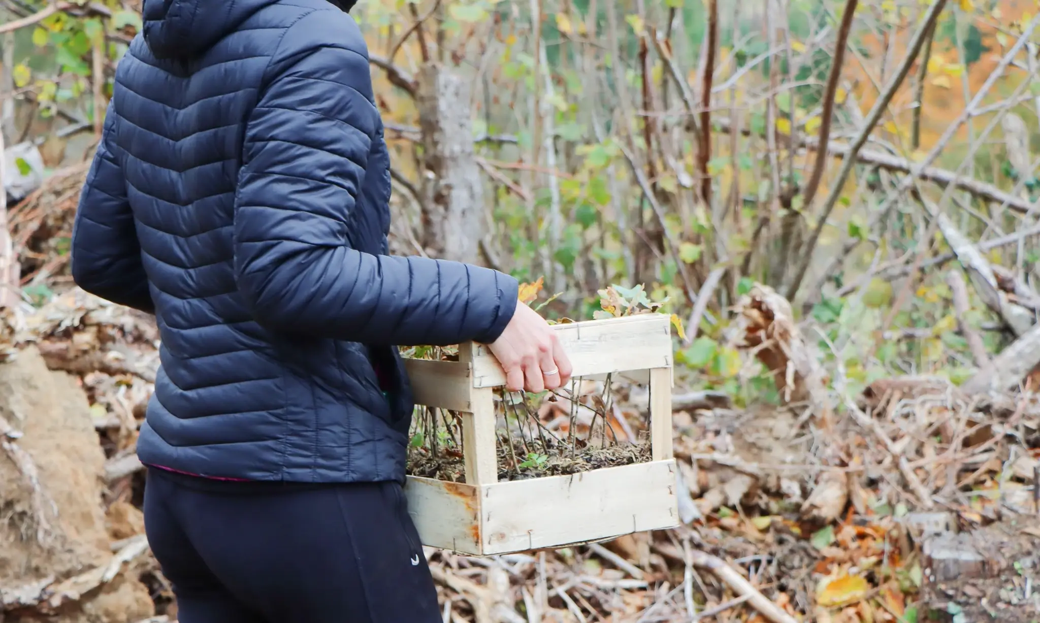 Personne de dos portant des pousses d'arbres