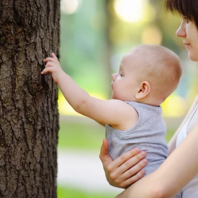 bébé dans les bras de sa mère touchant un arbre