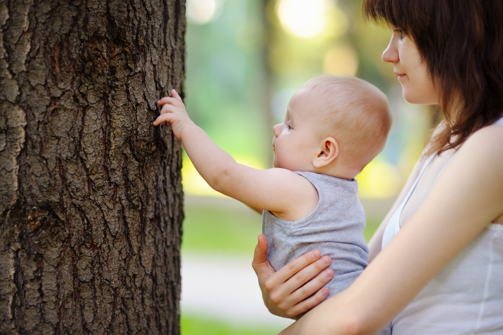 bébé dans les bras de sa mère touchant un arbre