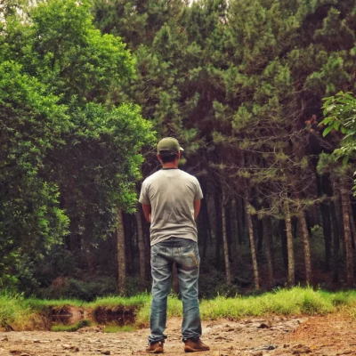 Homme de dos face aux arbres