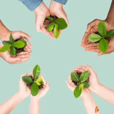 5 paires de mains tenant de jeunes arbres